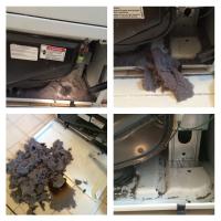 Another example of lint collected within the body of the dryer.